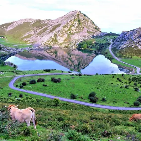 Carinn Sella - - Playa A 2 Km Рибадеселья